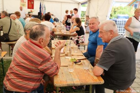 Društvo upokojencev Motnik – Špitalič praznovalo 70. obletnico delovanja (12)
